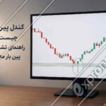 مانیتور حرفه_ای با نمودار کندلی و یک پین بار صعودی در ناحیه حمایت